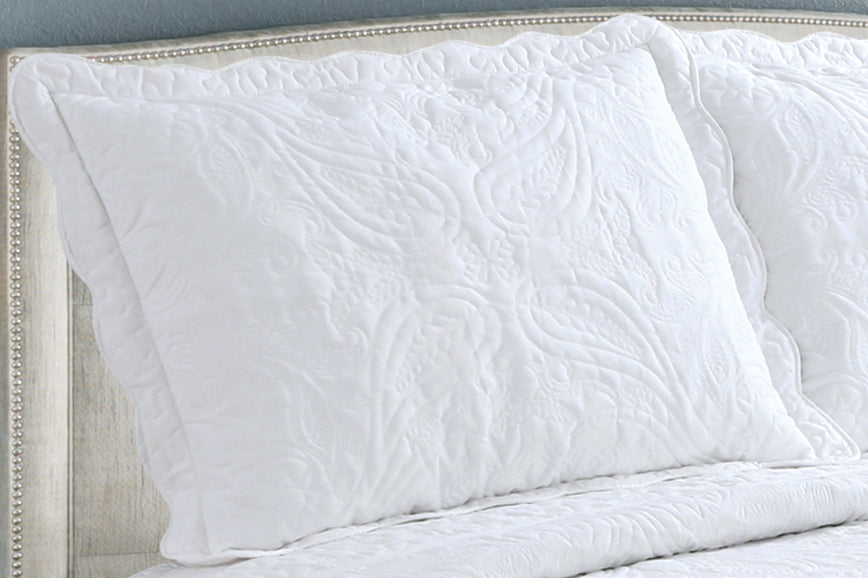 Embroidered Stitching Soft Bedding Solid Summer Quilt Set, Floral Paisley Pattern